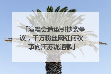 演唱会造型引抄袭争议，千万粉丝网红何秋亊向汪苏泷道歉